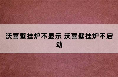 沃喜壁挂炉不显示 沃喜壁挂炉不启动